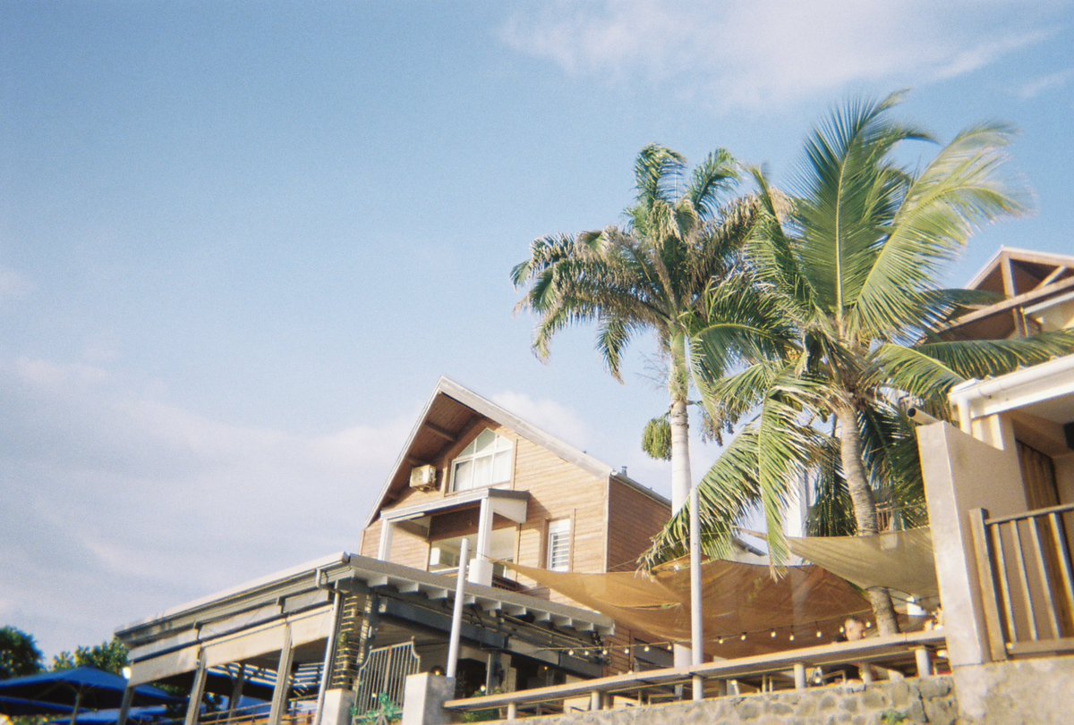 niña del sur🦎 tweet media