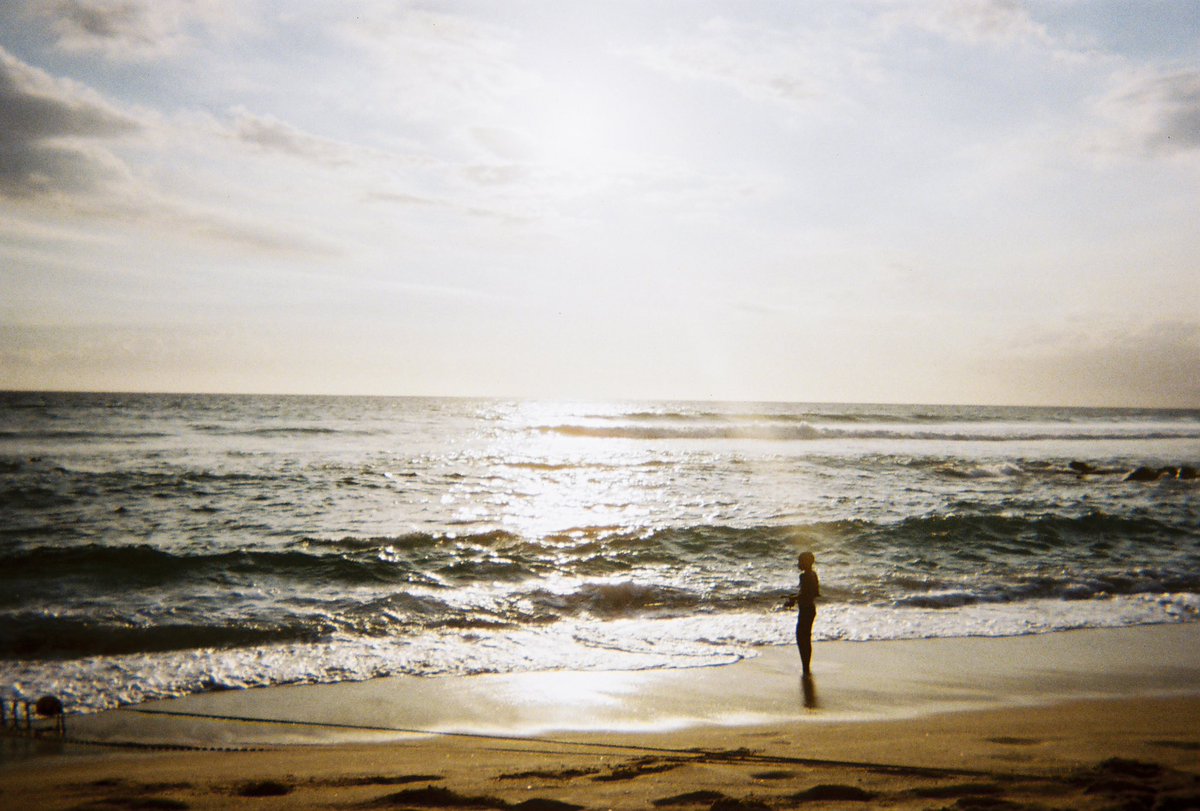 niña del sur🦎 tweet media