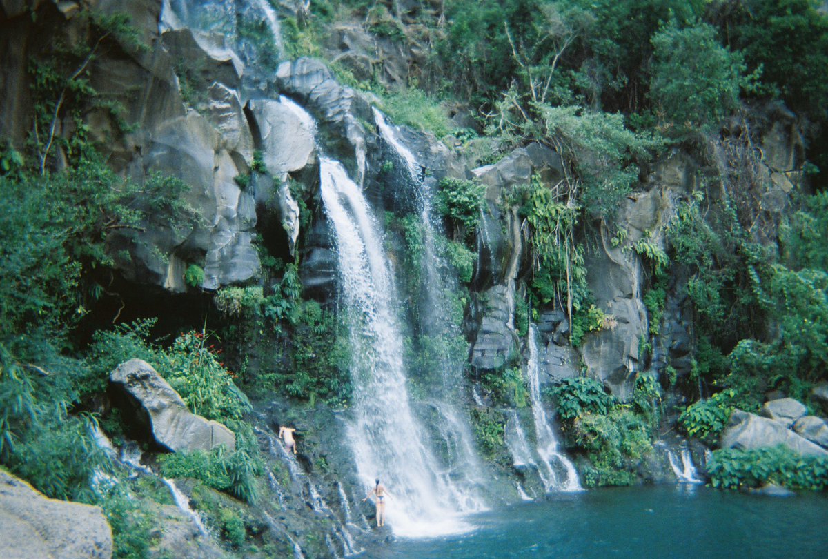 niña del sur🦎 tweet media