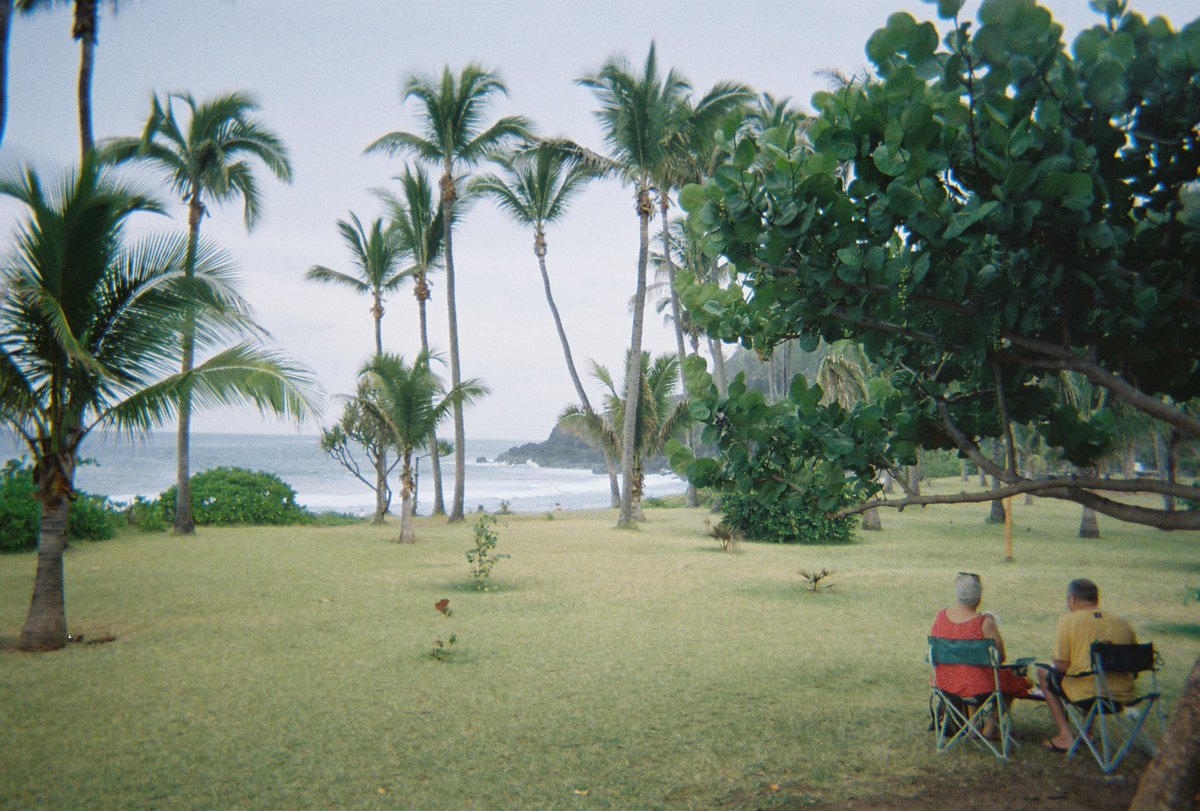 niña del sur🦎 tweet media