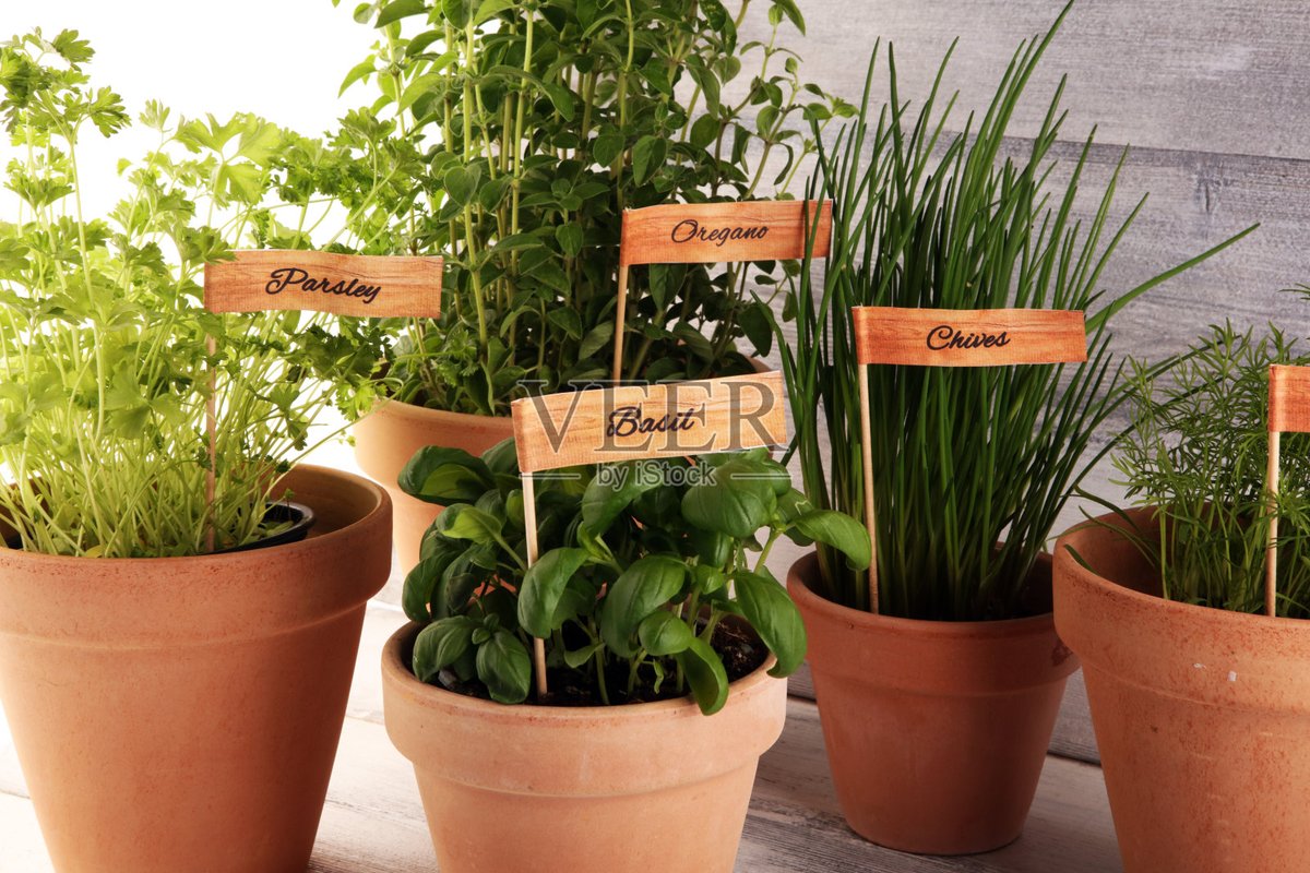 debra friend tweet media