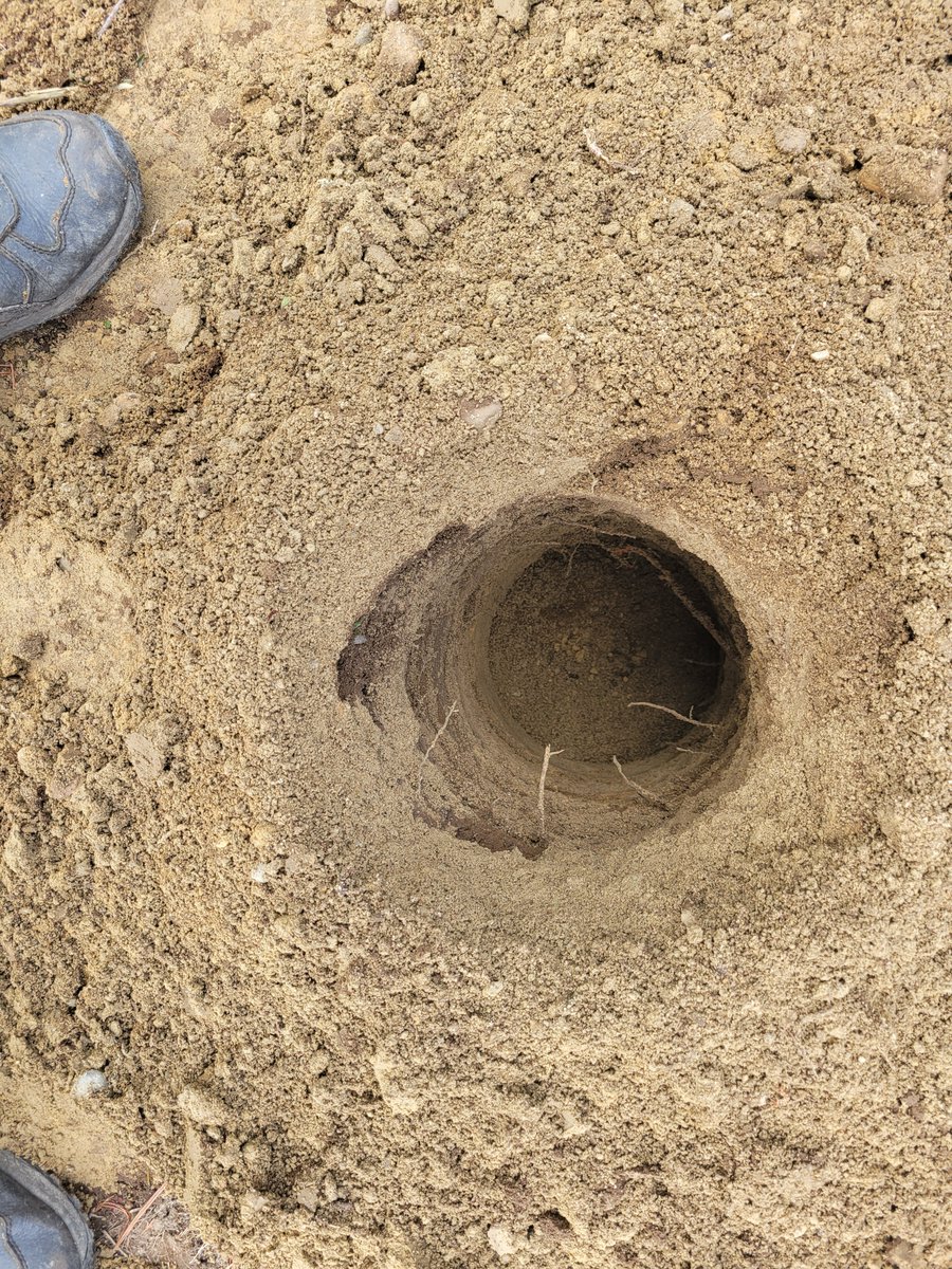 Vincent Cogliano Jr tweet media