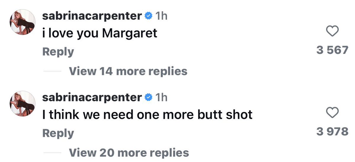 bibs ☾🐾 tweet media