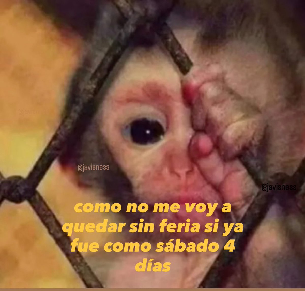 Salvador Iglesias Jr tweet media