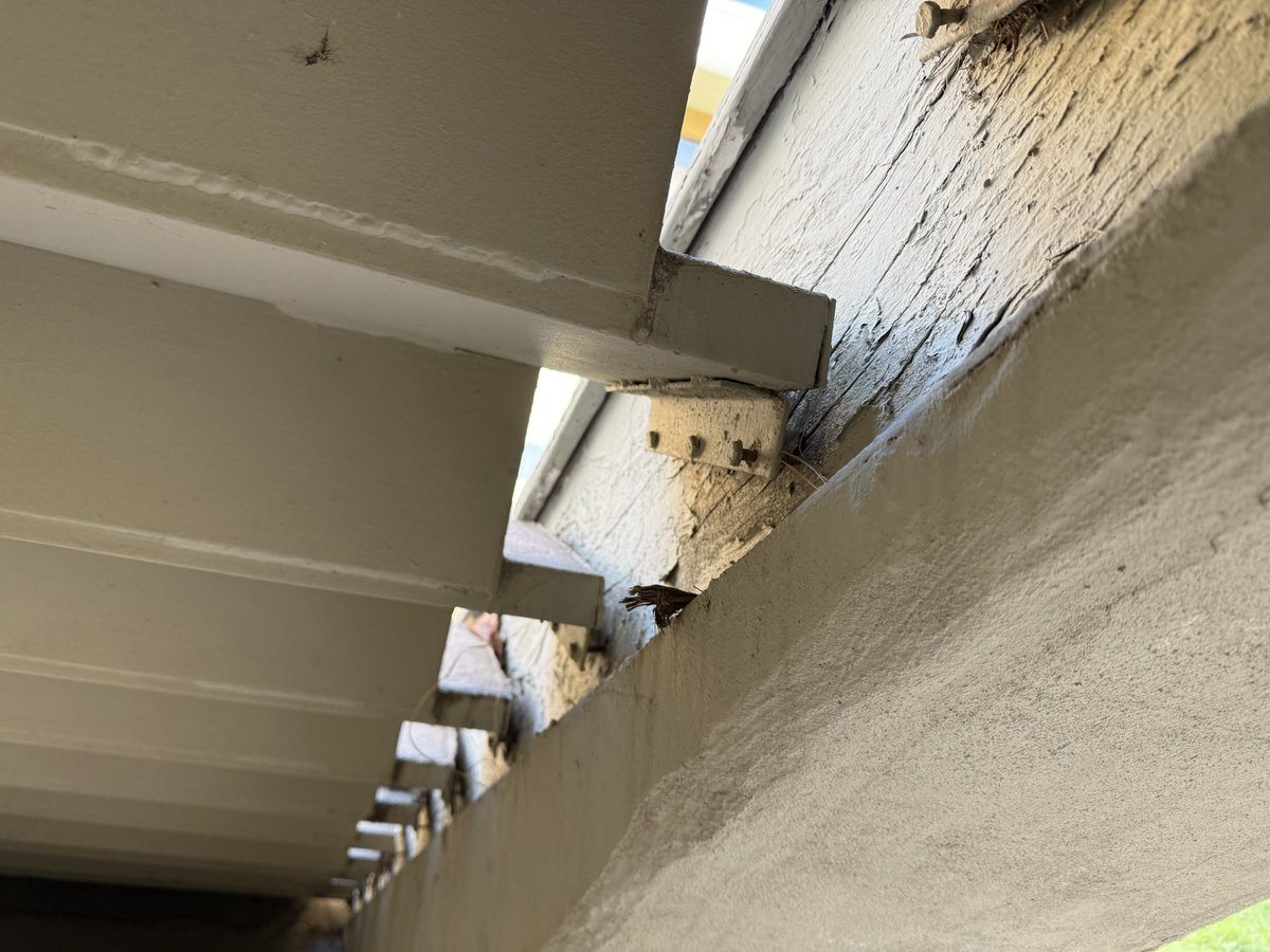 Nicolas Cage tweet media