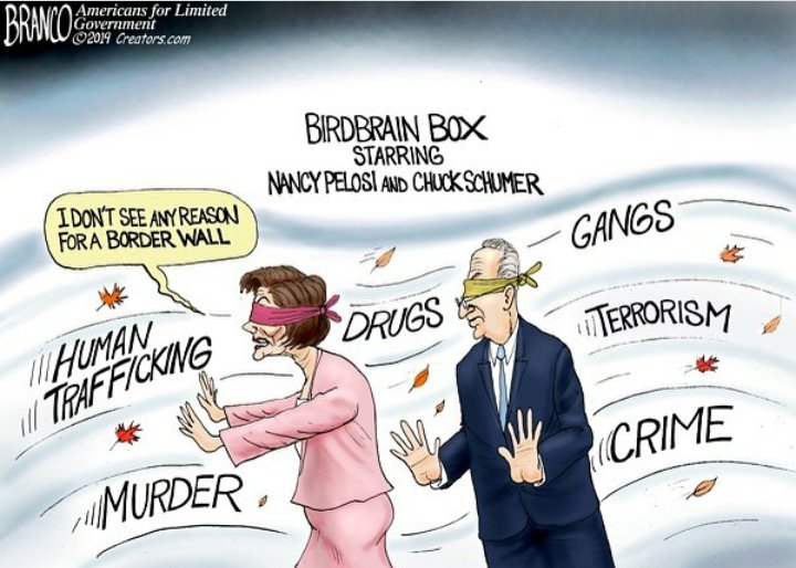 Mr. Nino D'Avolio tweet media