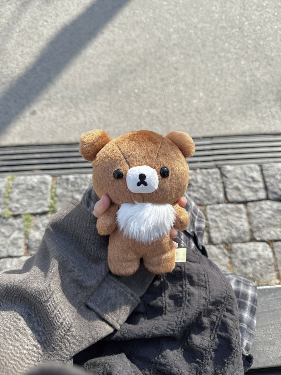 つくし tweet media