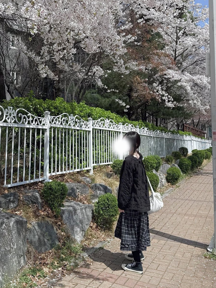 つくし tweet media