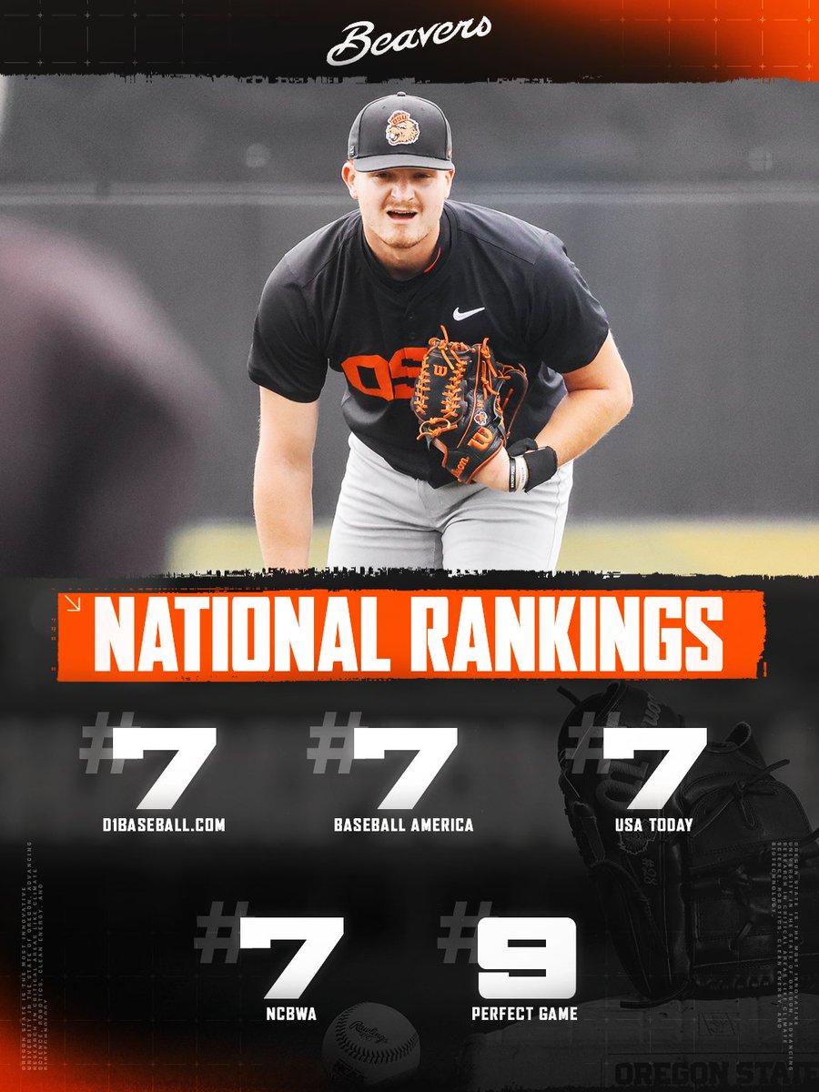 ZenBeav🦫 tweet media