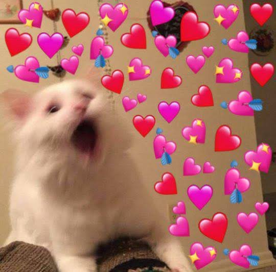 shruti Tambe tweet media