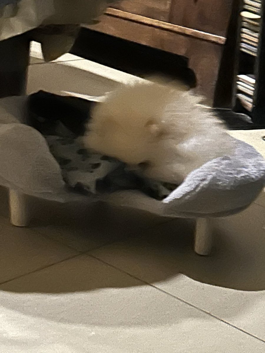 Amanda Flench tweet media