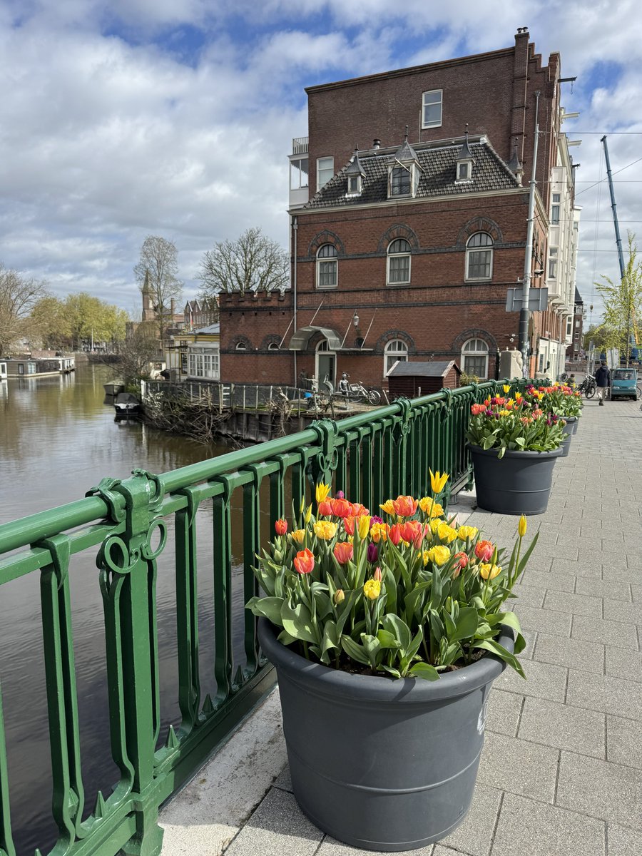 旅ルンルン🇳🇱オランダwebデザイン tweet media