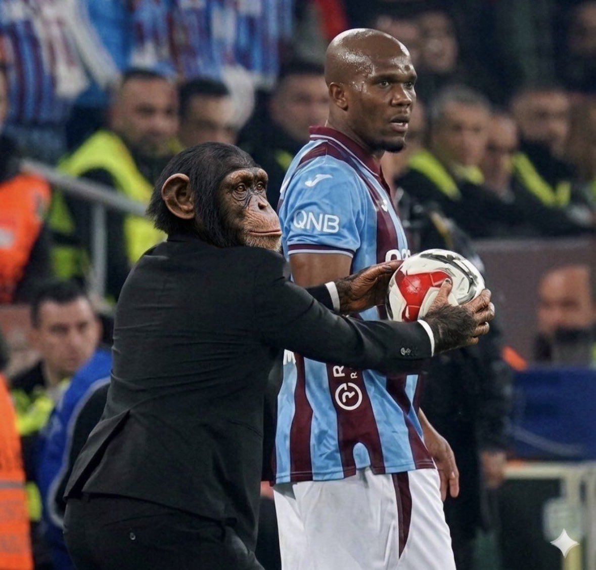 caligula tweet media