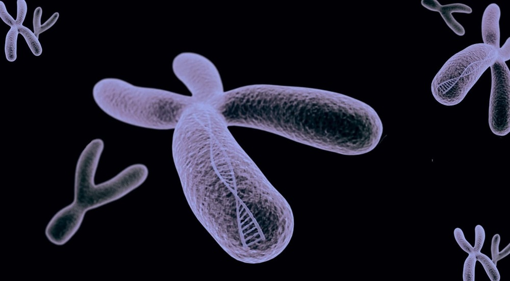 Sobre el gen SRY y el sexo masculino

La detección del gen SRY no siempre lleva a la aparición de caracteres sexuales masculinos. Puede estar presente y mutado, entre otras opciones.

#CULTURA sdemergencia.com/2026/04/04/sob…

#Ciencia #Cromosomas #genética #deportes #COI