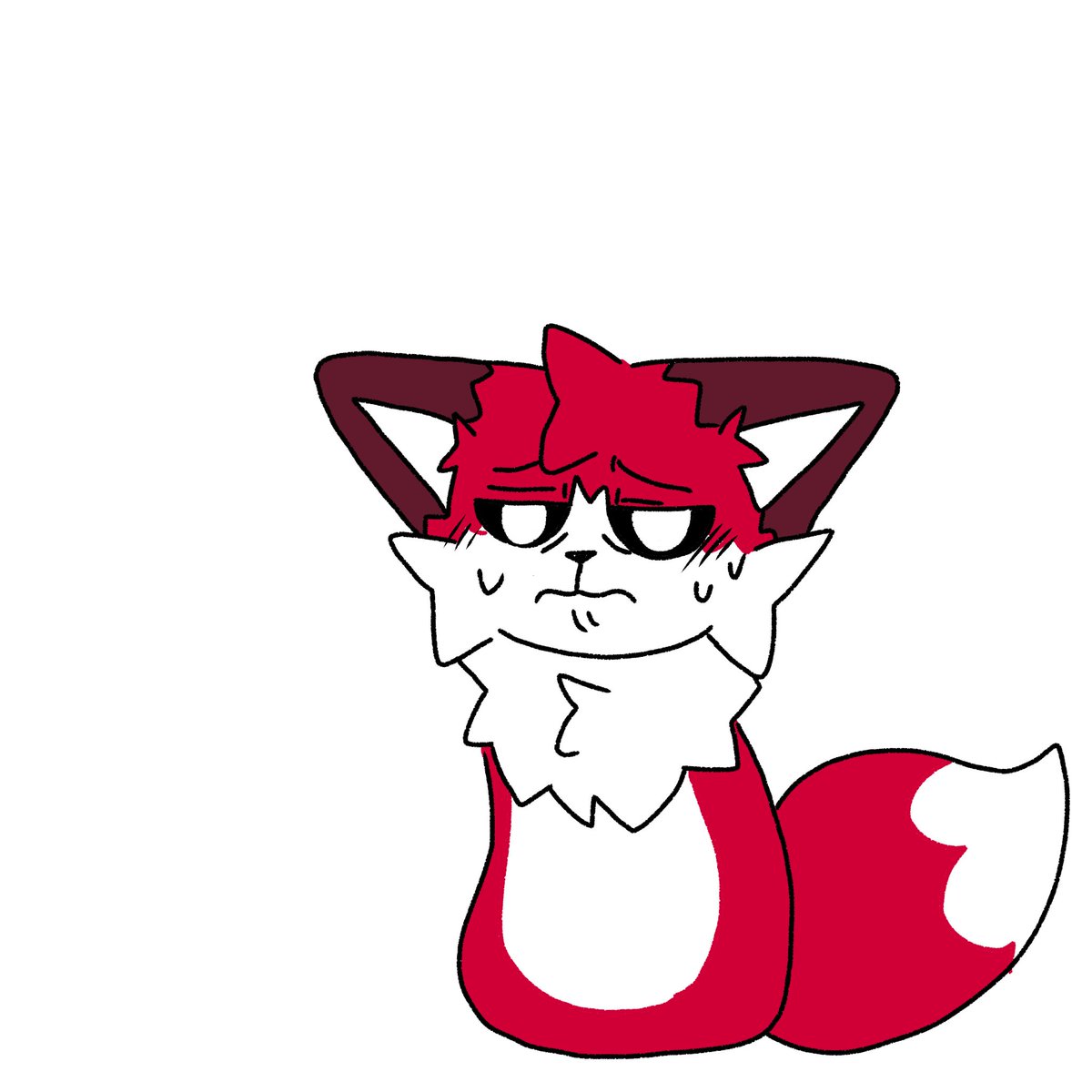 Muri_the_fox tweet media