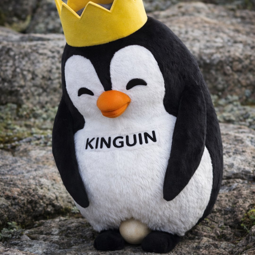 Kinguin tweet media