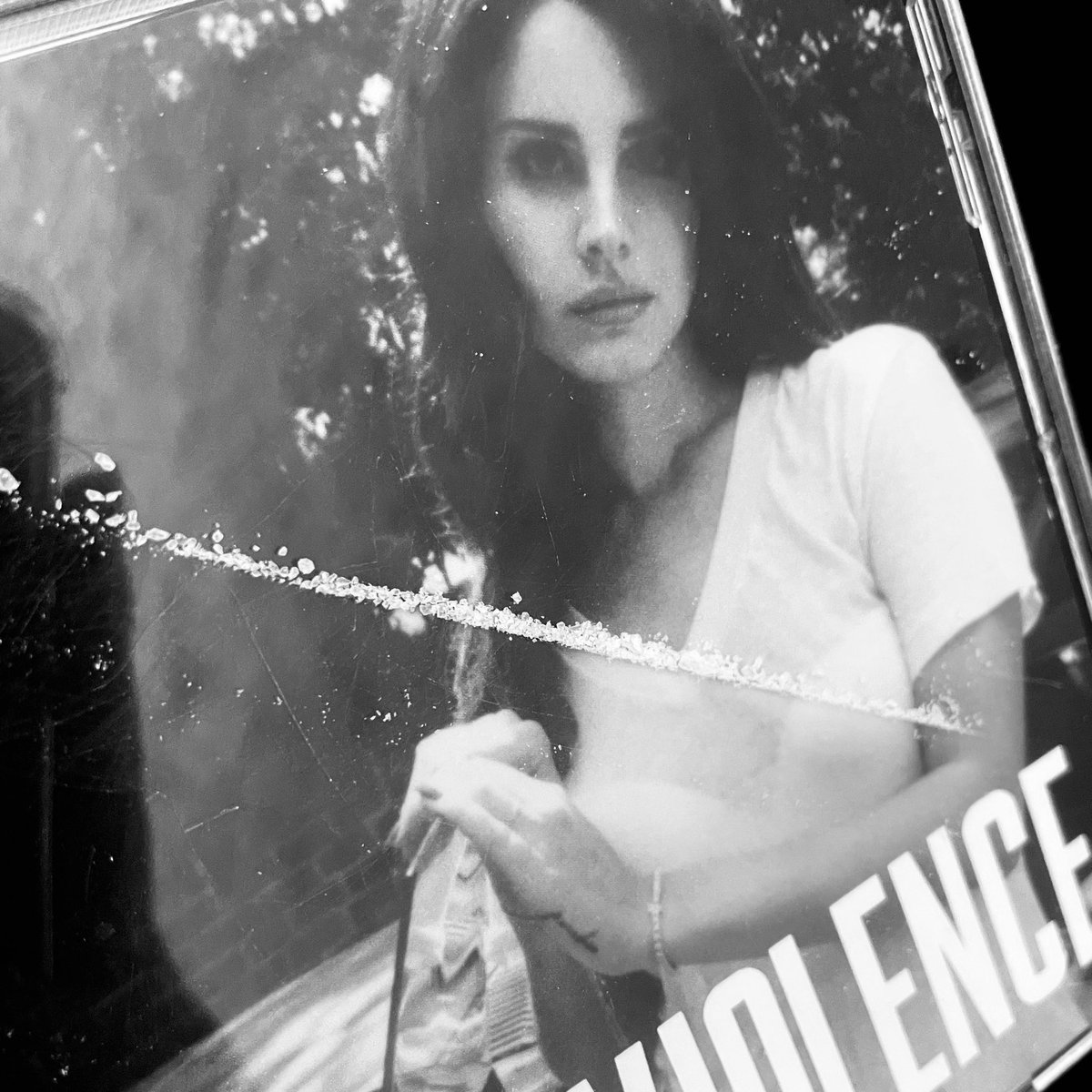 Lilith🧊 tweet media