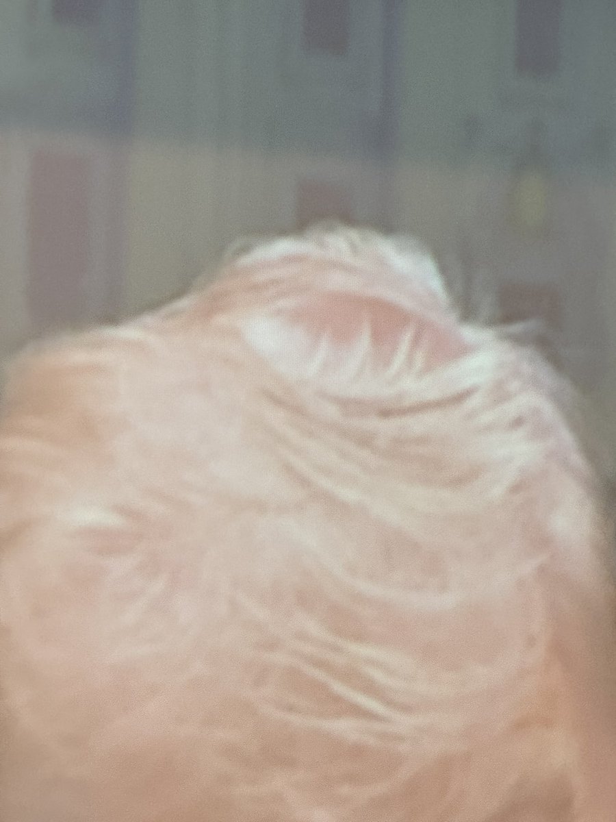 AS74🇱🇹🇺🇦 LIFE #2 tweet media