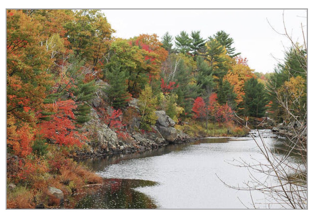 shonna99784's tweet image. Parry Sound Autumn River Bend shonnahawkinsphotography.com/featured/parry…

Explore this piece and more in my full collection at the link above.

#ParrySound #Autumn #RiverBend #Colours #ArtPrint #BuyIntoArt #HomeDecor #FineArt #ShonnaHawkins