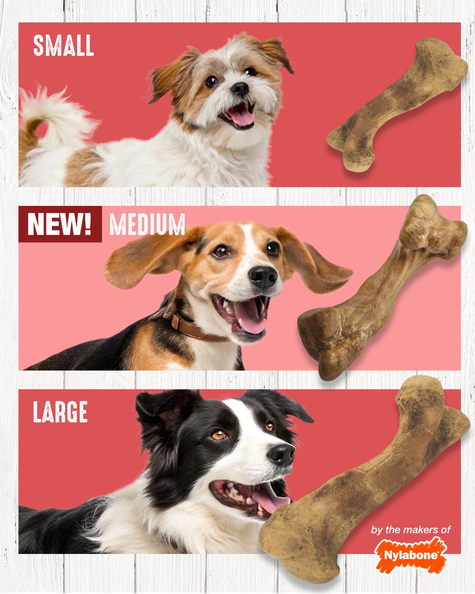 Nylabone Products tweet media