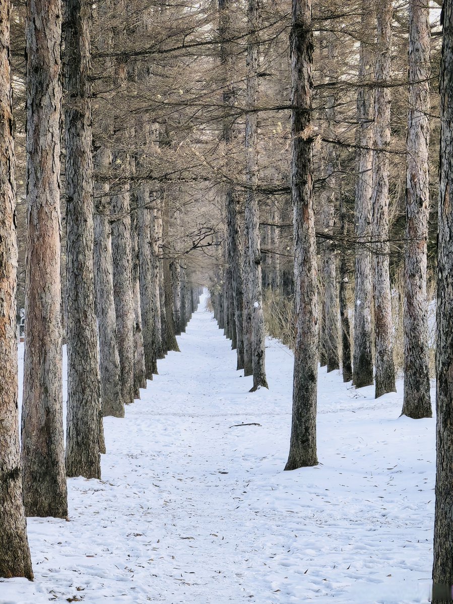 I We Two Three tweet media