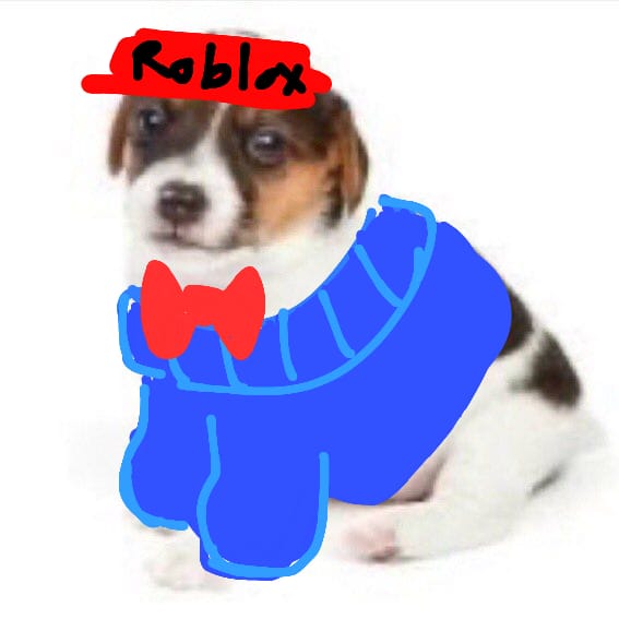 💌‼️ tweet media