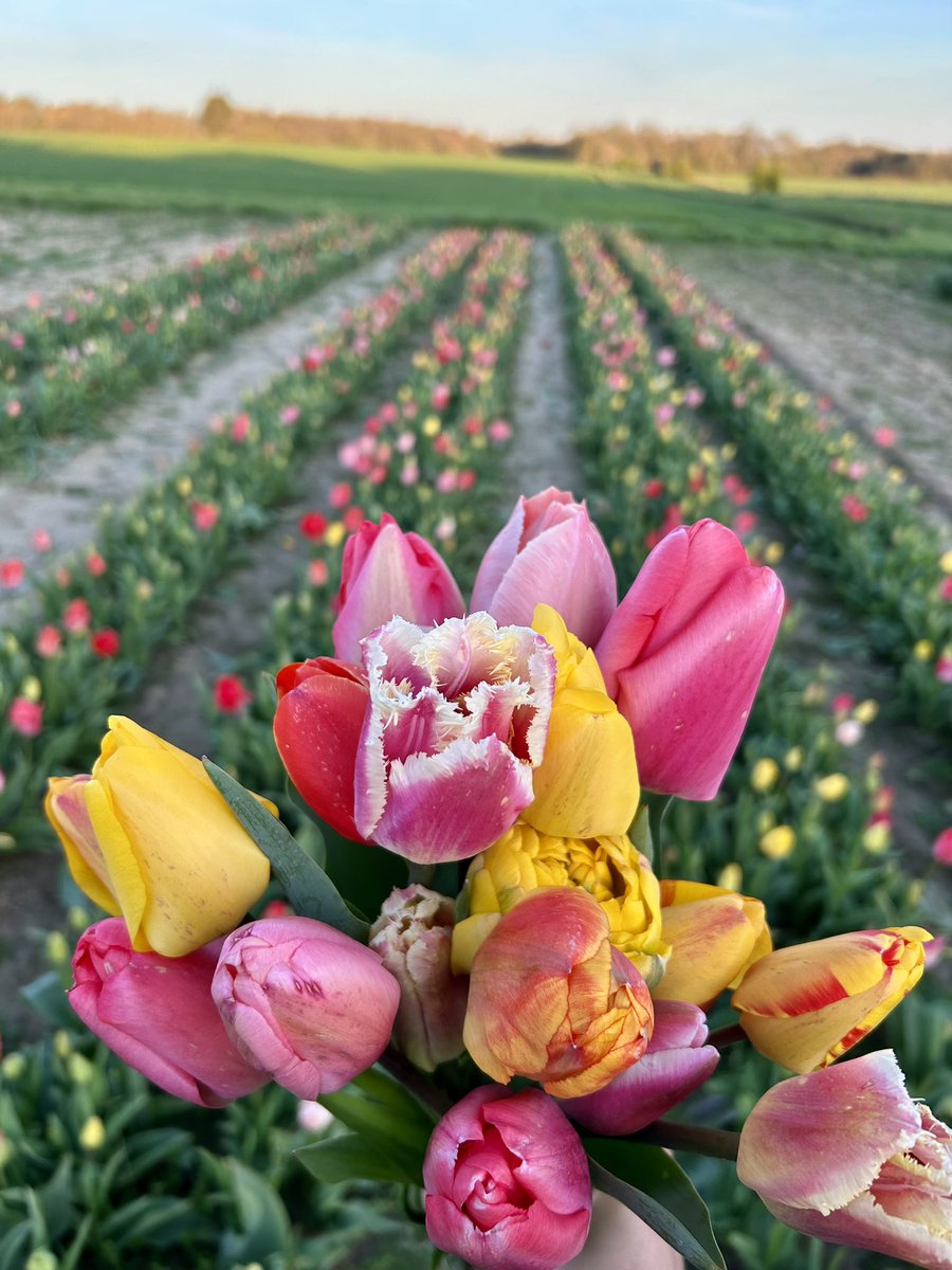 Inaf 😻 tweet media