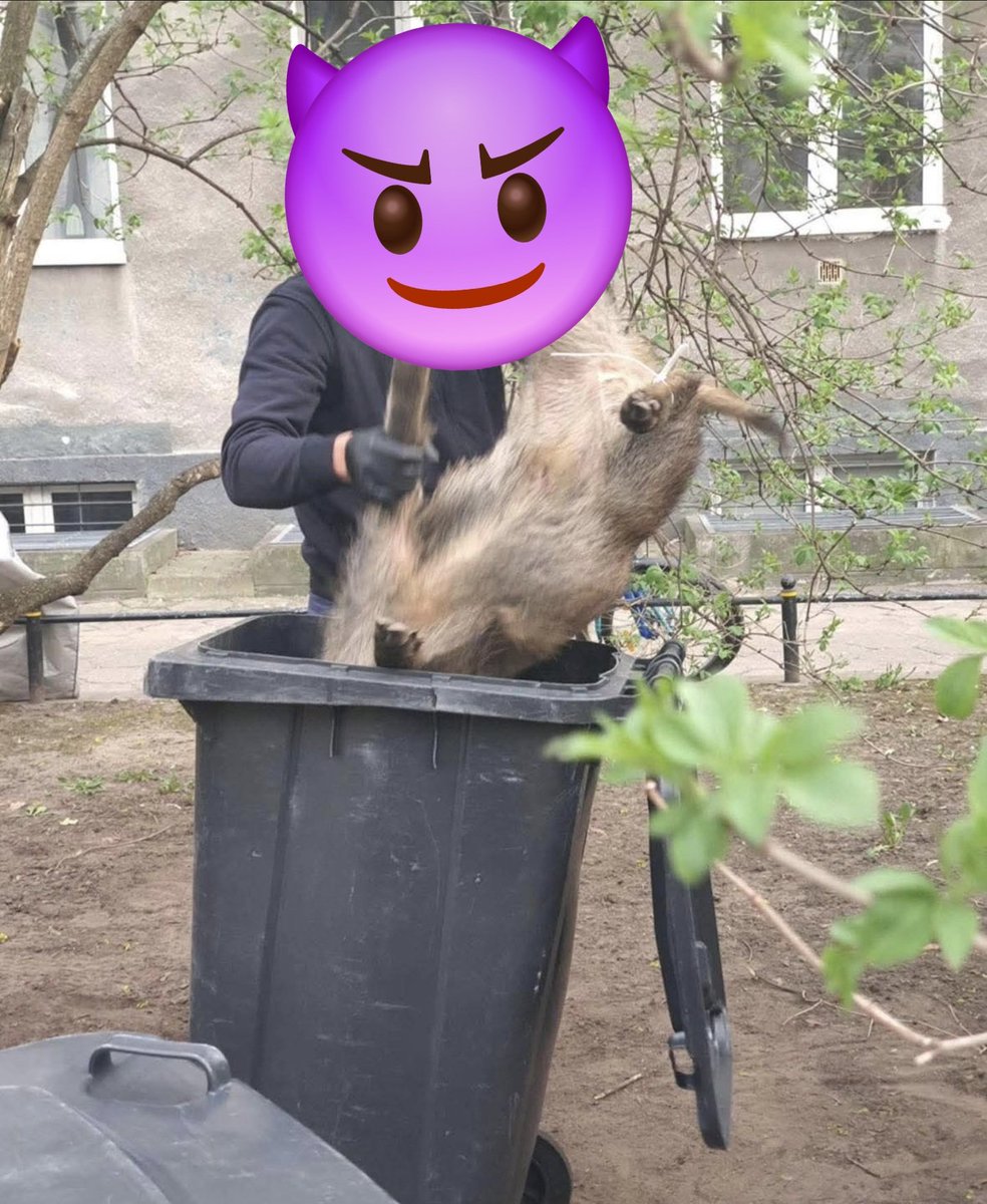 Krzysztof Adamski tweet media