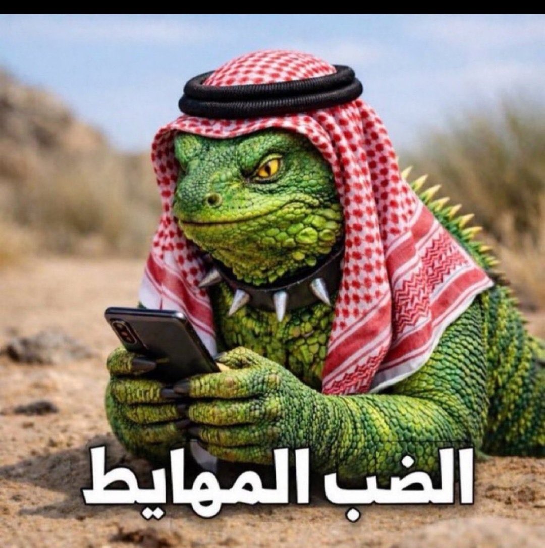 ميجز tweet media