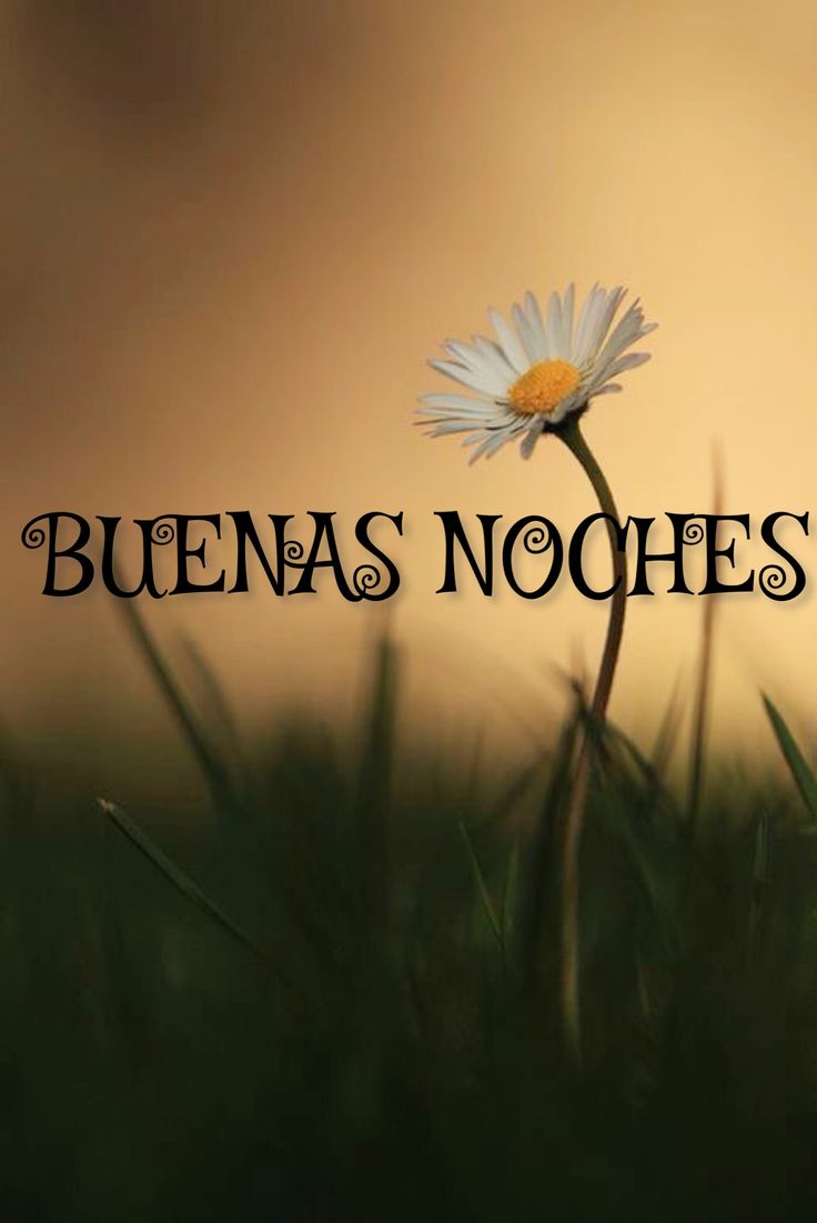 Tono García tweet media