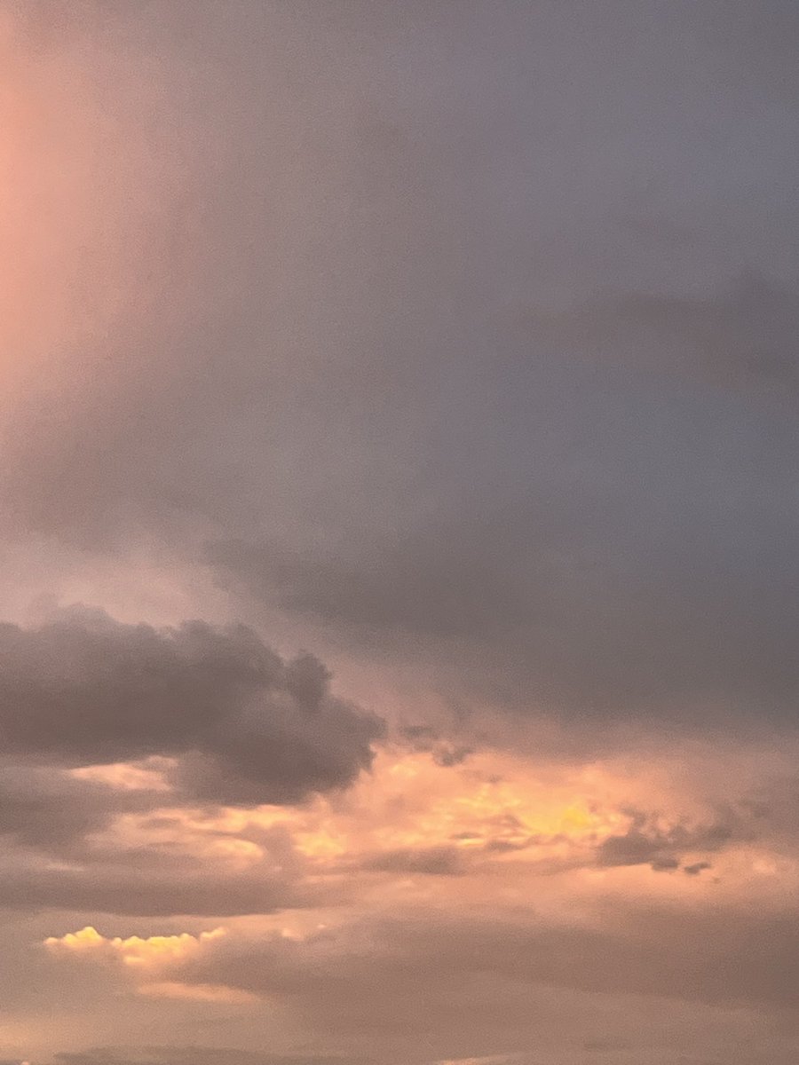 TWEEXY (المُتهكِّمة) tweet media