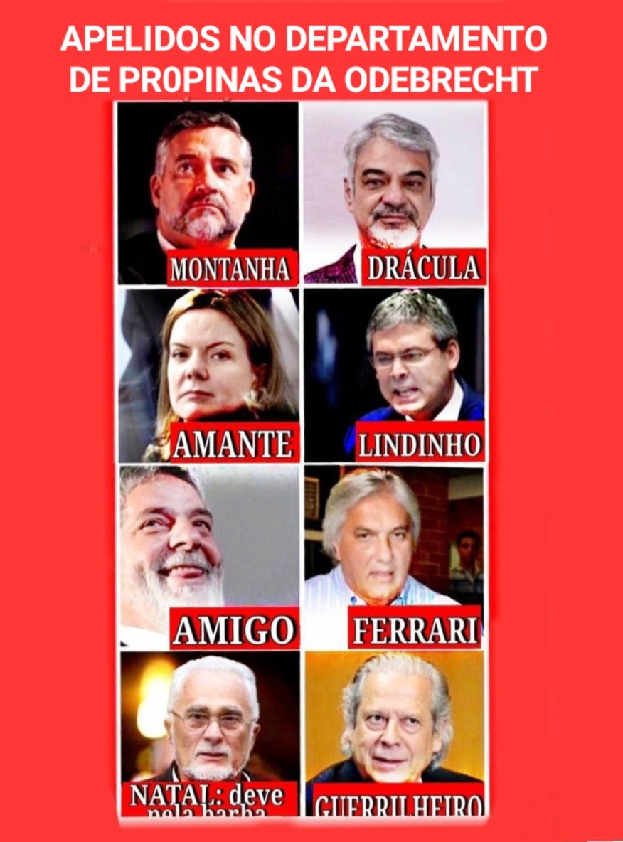 zévoltando tweet media