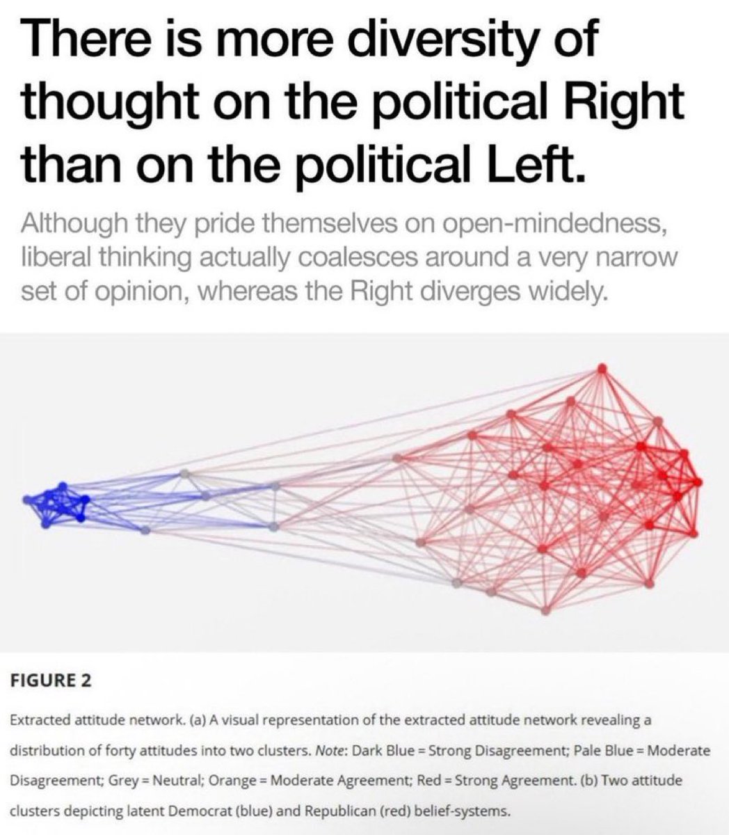 The Rabbit Hole tweet media