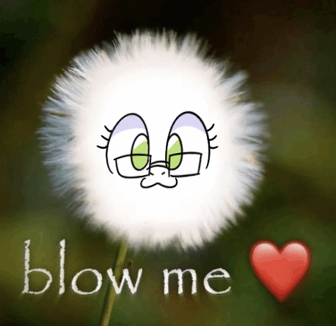 🍗 Sugar Morning 🍗 tweet media