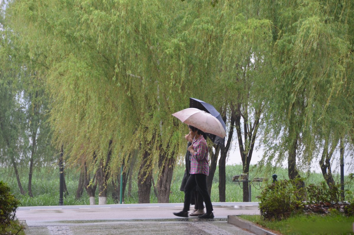 Robert Pledger tweet media