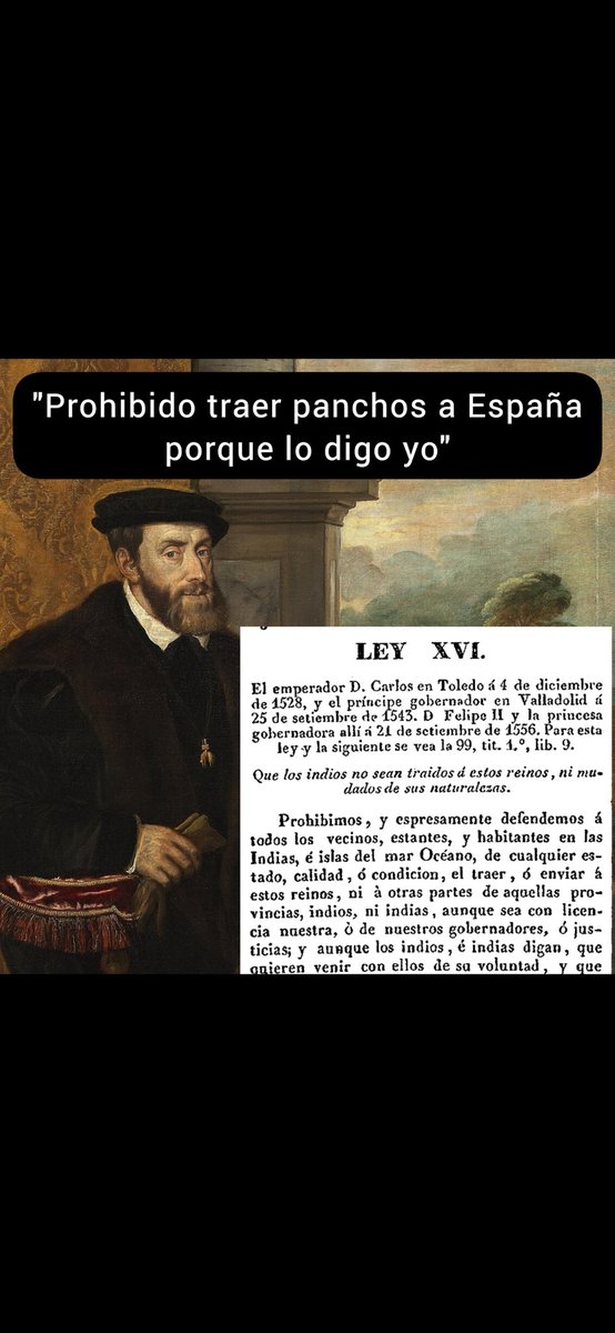 🇪🇸ASTRAFOBIA tweet media