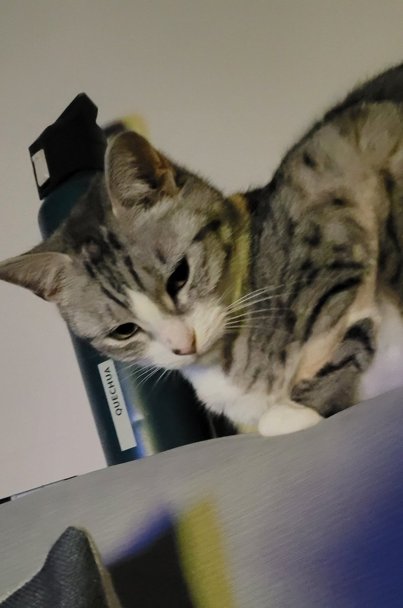 Dev-Pati tweet media