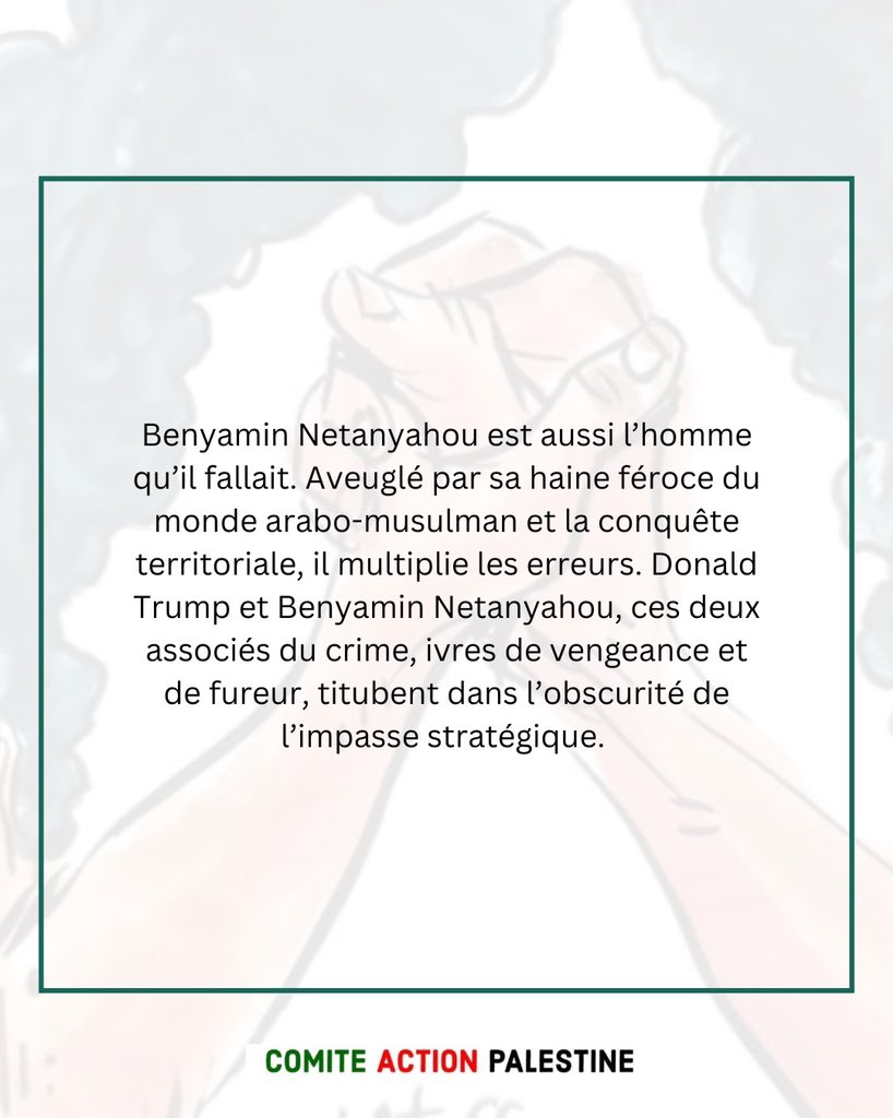 Comité Action Palestine tweet media