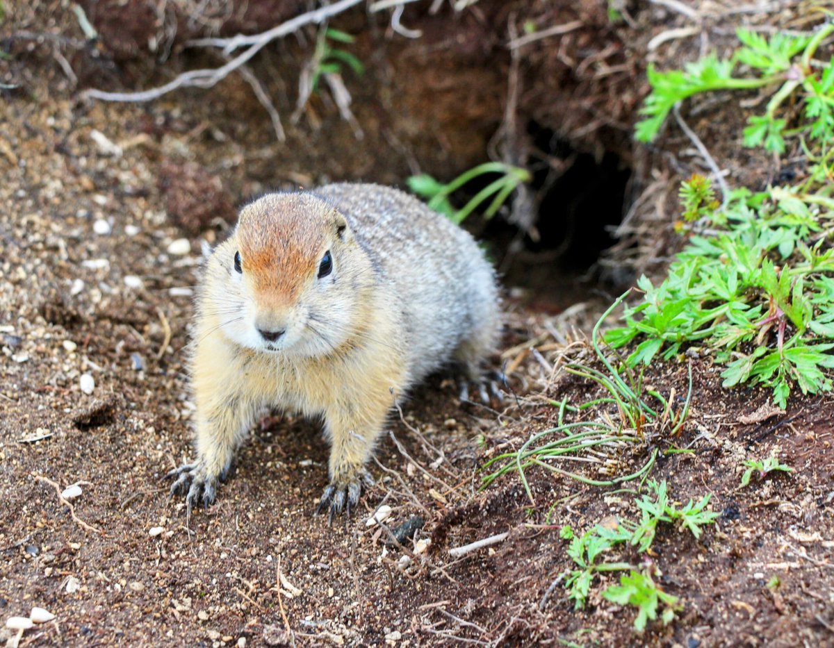 Give A Shit About Nature tweet media
