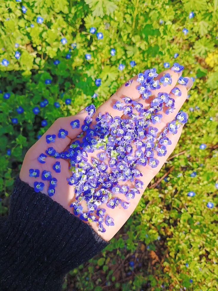 𝑒𝑙𝑦𝑟𝑎 tweet media