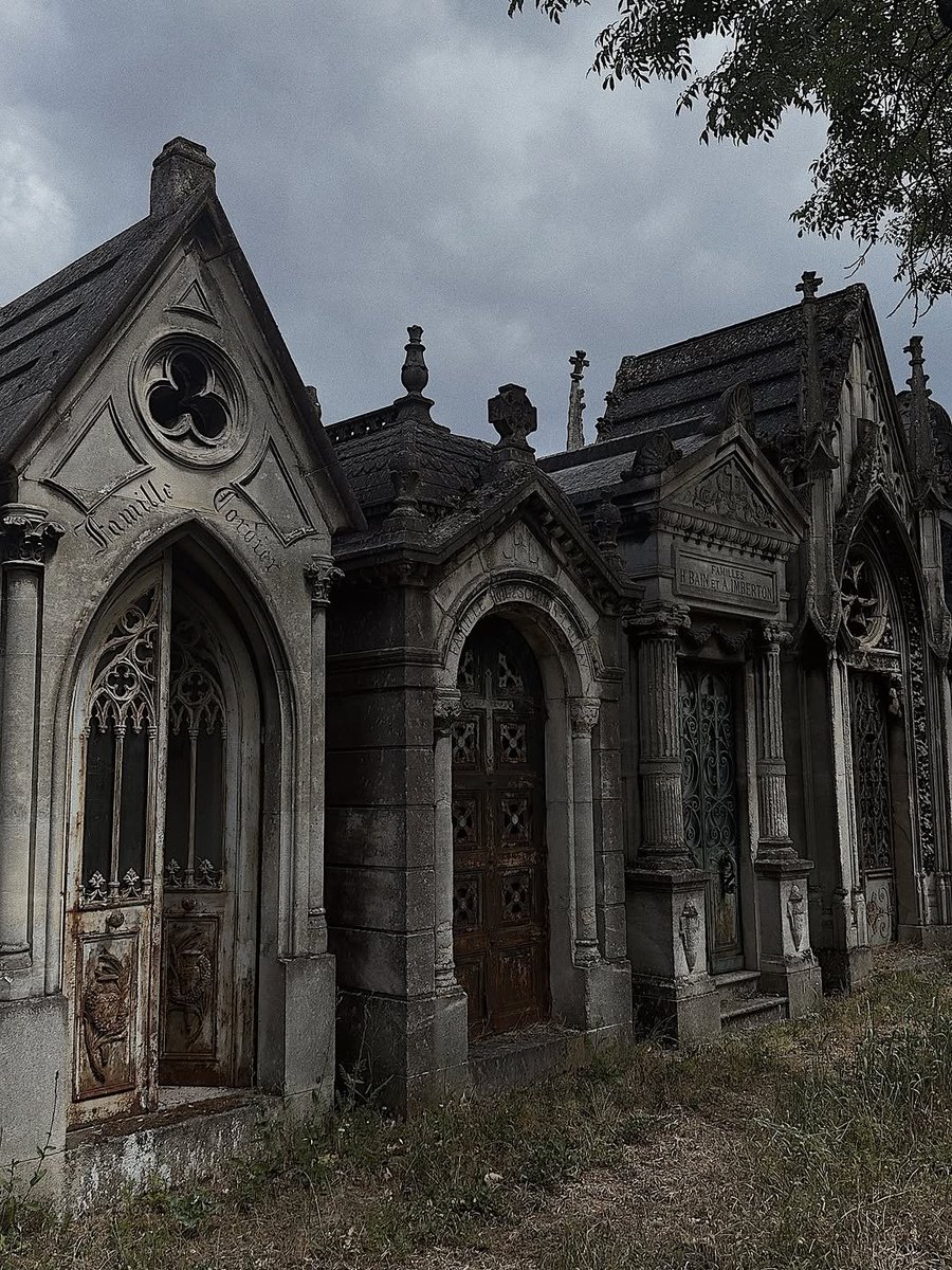 𝖁𝖆𝖒𝖕𝖞𝖗𝖎𝖆 𓋹 tweet media