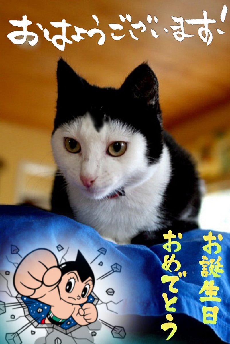 LUCIFERミルミル tweet media