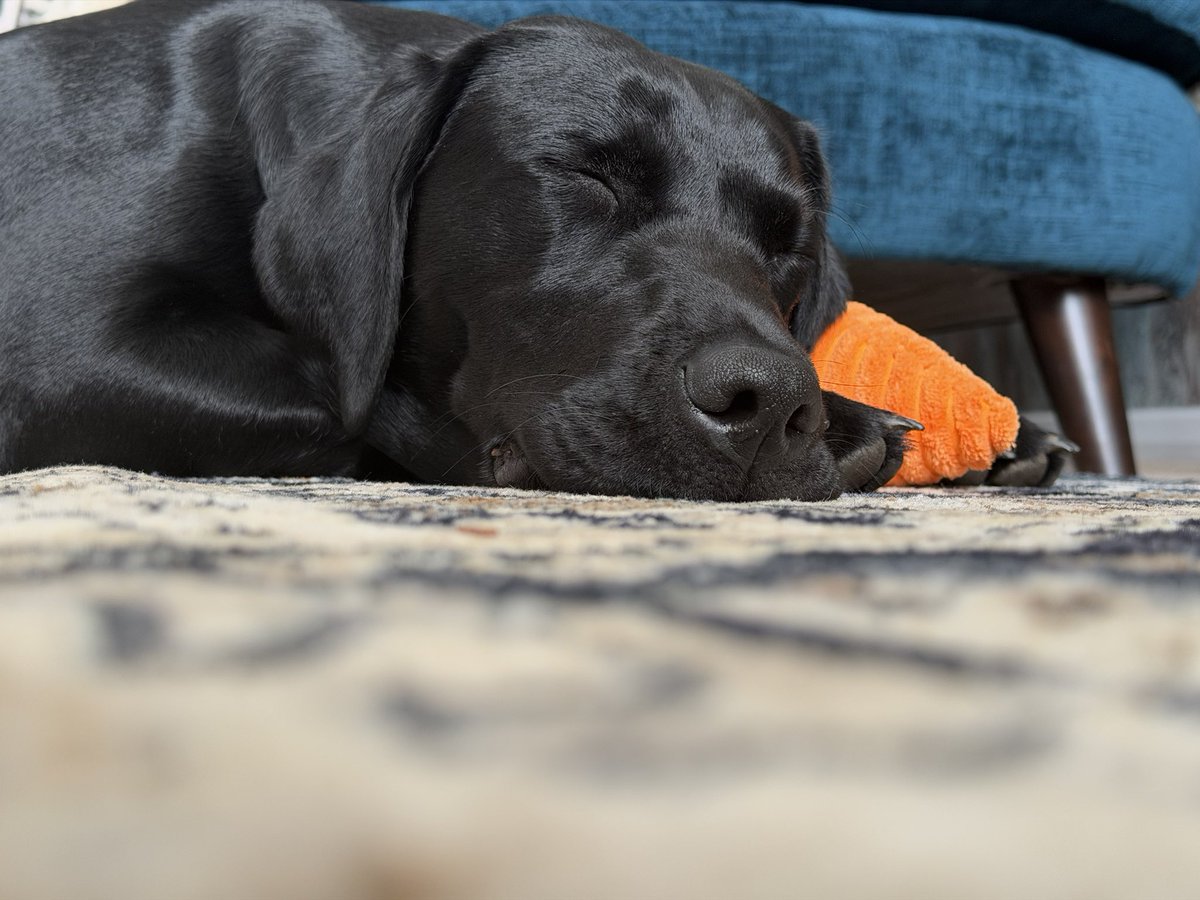 MissFETench tweet media