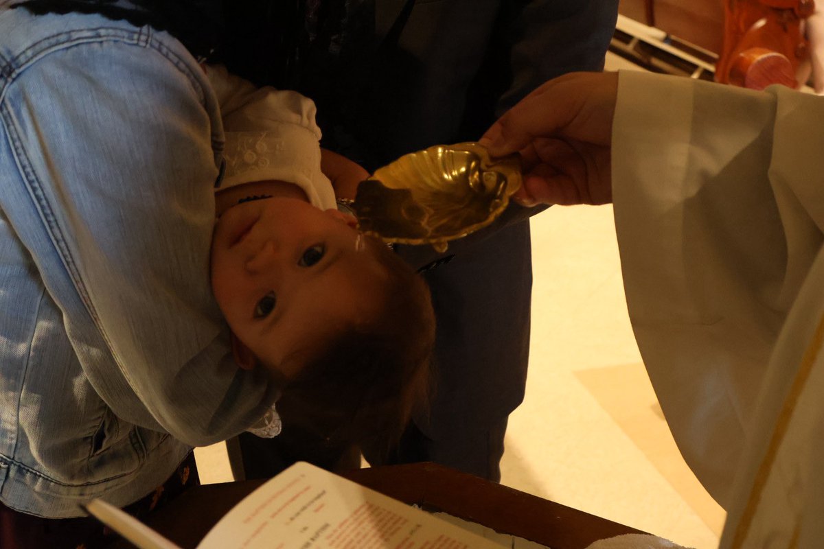 Destiny.Ancilla.Domini tweet media