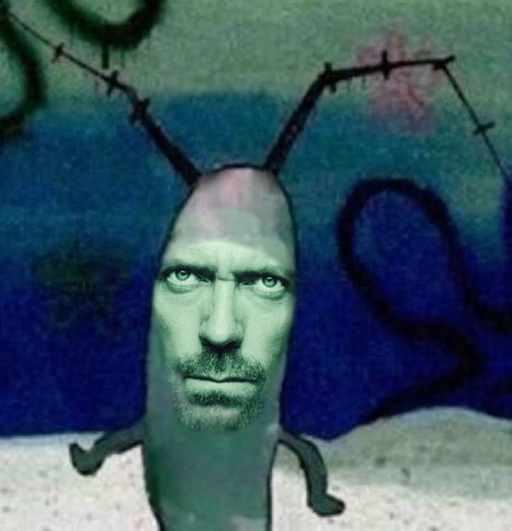 🍊Naranjita (Karmadame)🎧 tweet media