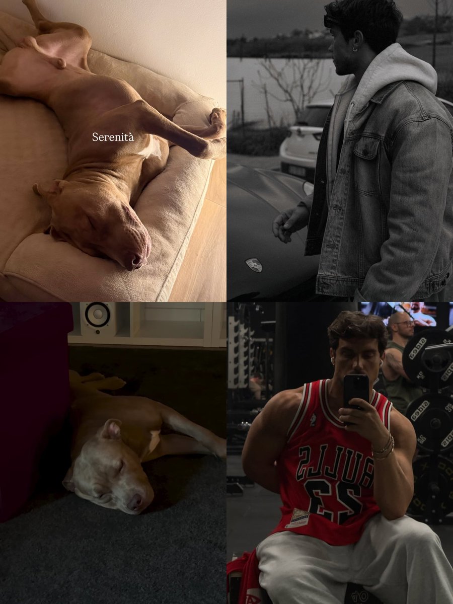 ACQUARIO 76 tweet media