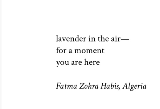 fati_hab42708's tweet photo. Delighted to be in #FemkuMag, Issue 41: Spring 2026.
Grateful to Rowan Beckett Minor , and Vandana Parashar , and Kelly Barnes Sargent for the publication of my #senry
https://t.co/YQi4jok2VA
#haiku #HaikuSaturday #senryusunday #inkMine
#poetry #poetrycommunity https://t.co/AVPNJRxszw