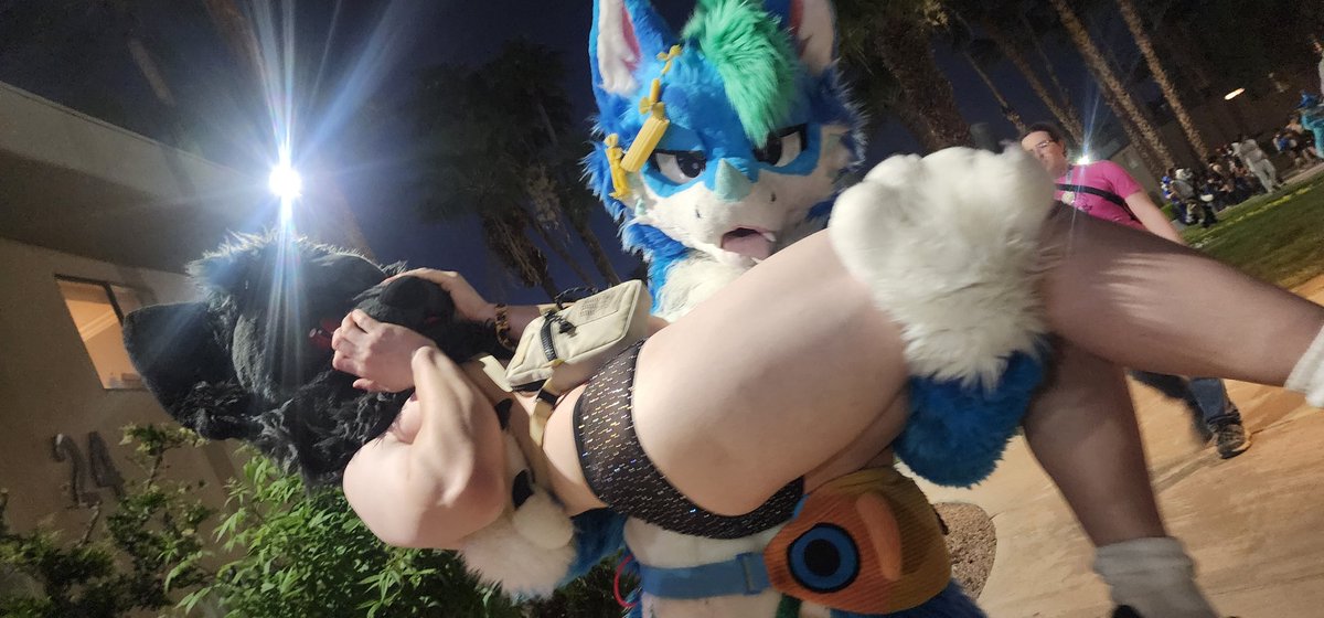 ZyaPaws's tweet photo. Guys LVFC was definitely terrible!!! The elevator line was long, reg took 8 hours to get, the hotels arent walkable at ALL, zero parties, no party block, no free drinks anywhere or easy food access, and they measured your waist size before letting you in the pool!!! (1)0/10 🐕 https://t.co/PEpEBvhtdH