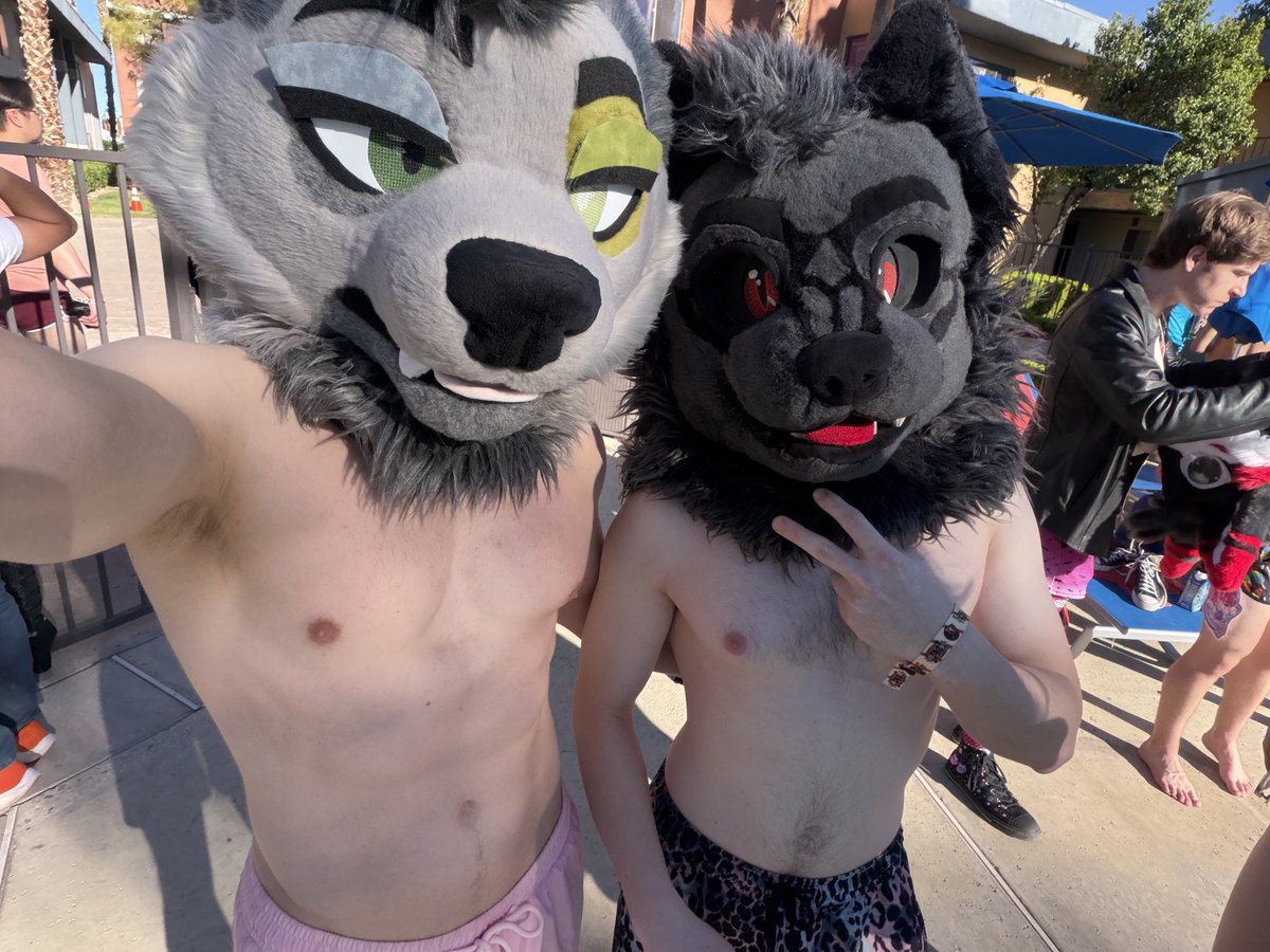 ZyaPaws's tweet photo. Guys LVFC was definitely terrible!!! The elevator line was long, reg took 8 hours to get, the hotels arent walkable at ALL, zero parties, no party block, no free drinks anywhere or easy food access, and they measured your waist size before letting you in the pool!!! (1)0/10 🐕 https://t.co/PEpEBvhtdH