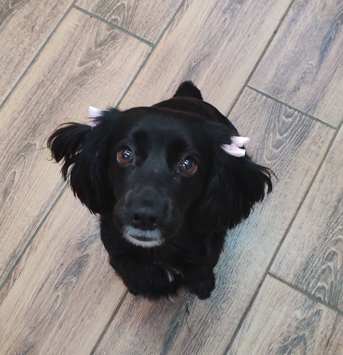 BadAngryPanda tweet media